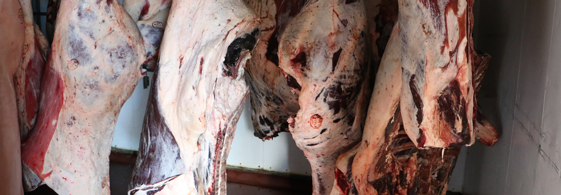 Cattle, Pigs & Lamb slaughter services